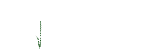 Pavlina's Creations